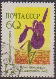 z vendido Rusia URSS 1960 Scott 2413 Sello * Flora Flores Iris Kaempferi matasello de favor preobliterado Russie Russia 